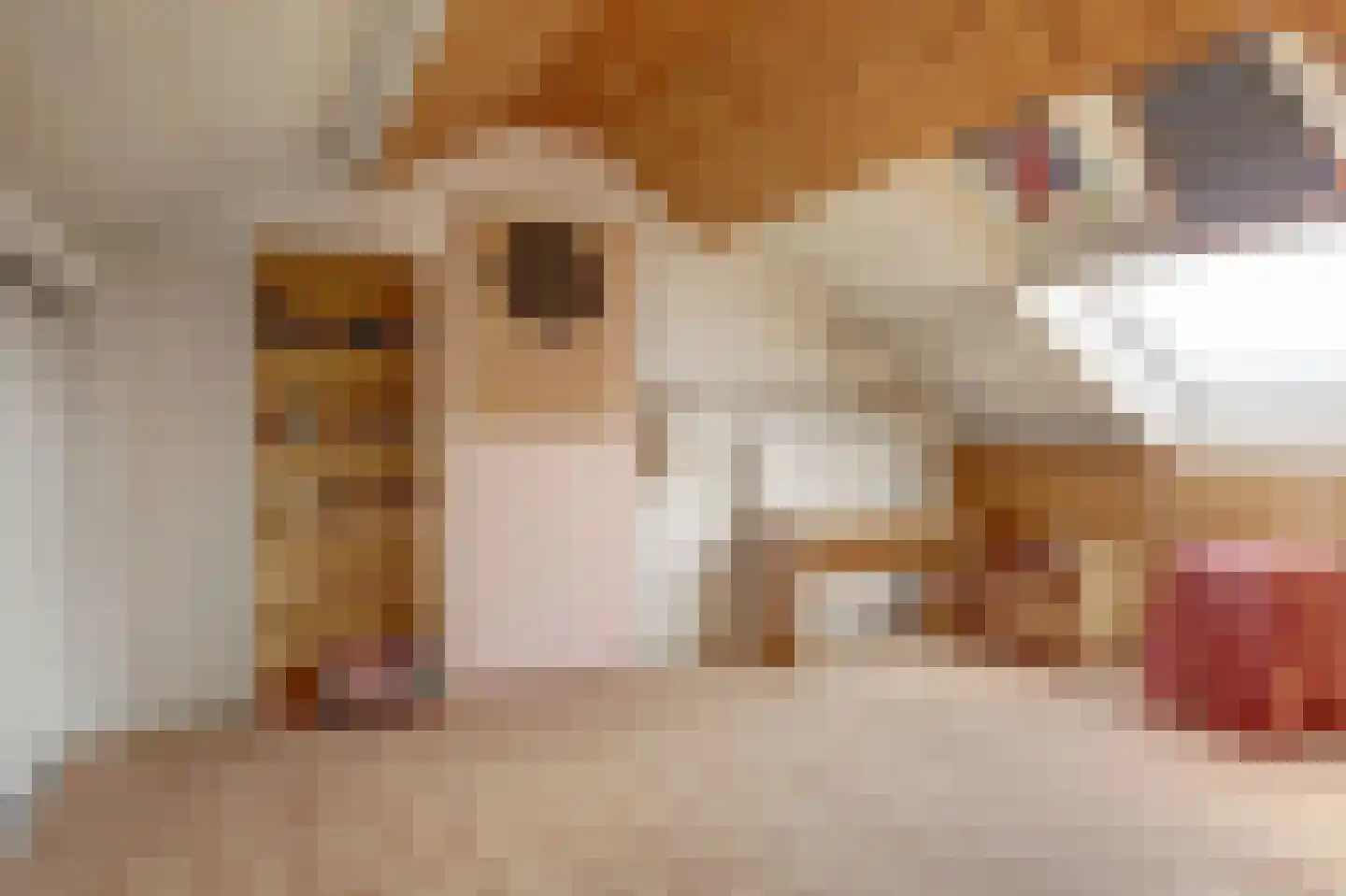 Pruimegaard 2 Zwaag thumbnail 32