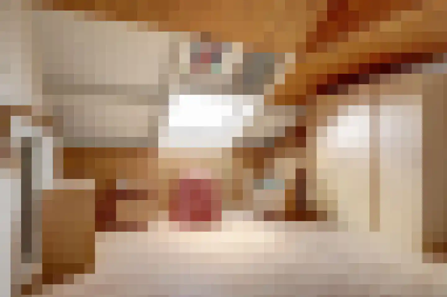 Pruimegaard 2 Zwaag thumbnail 33