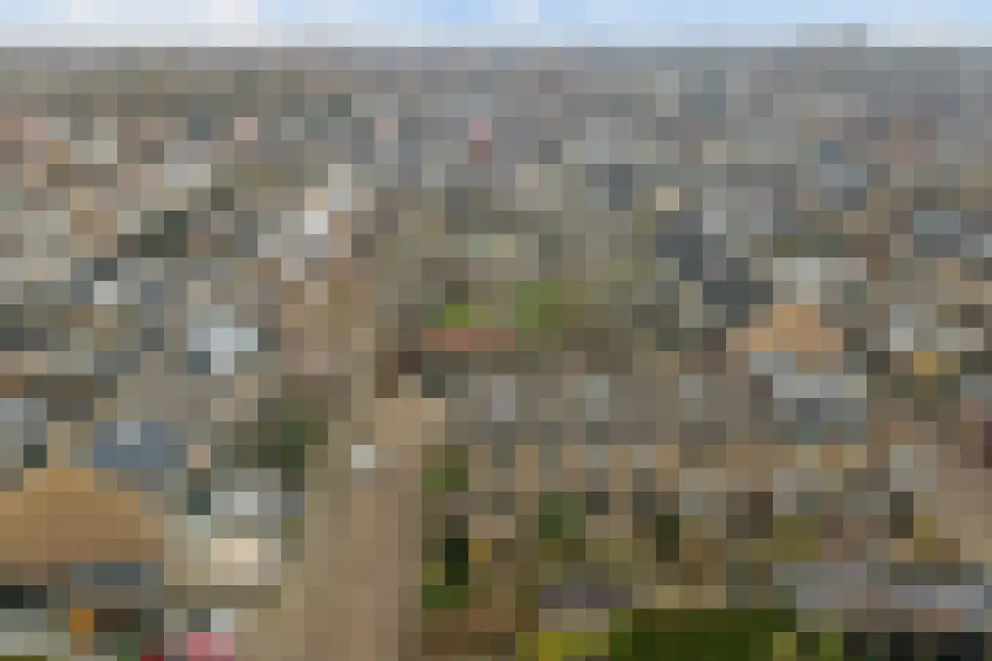 Pruimegaard 2 Zwaag thumbnail 40