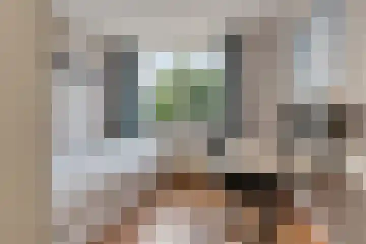 Pruimegaard 20 Zwaag thumbnail 13