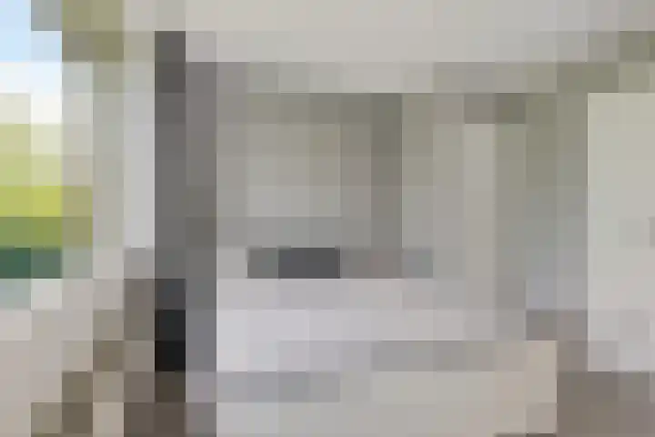 Pruimegaard 20 Zwaag thumbnail 19