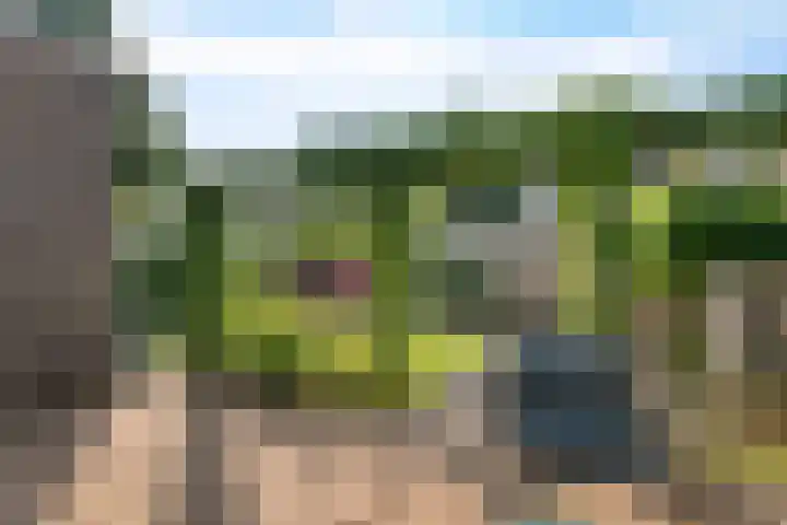 Pruimegaard 20 Zwaag thumbnail 27