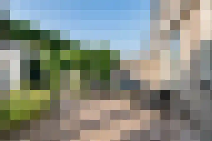 Pruimegaard 20 Zwaag thumbnail 28