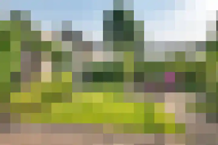 Pruimegaard 20 Zwaag thumbnail 29