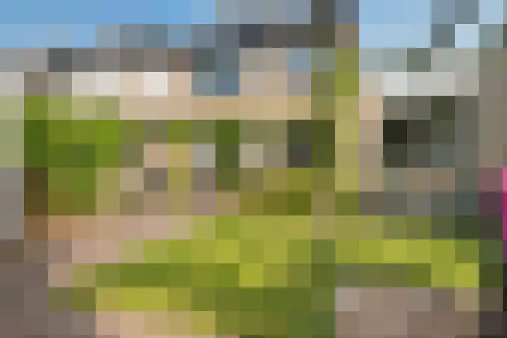 Pruimegaard 20 Zwaag thumbnail 30
