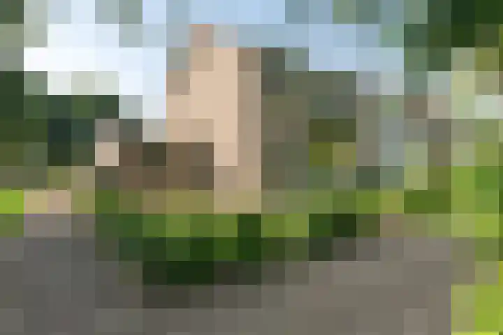 Pruimegaard 20 Zwaag thumbnail 37