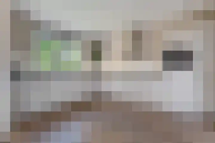 Pruimegaard 20 Zwaag thumbnail 7