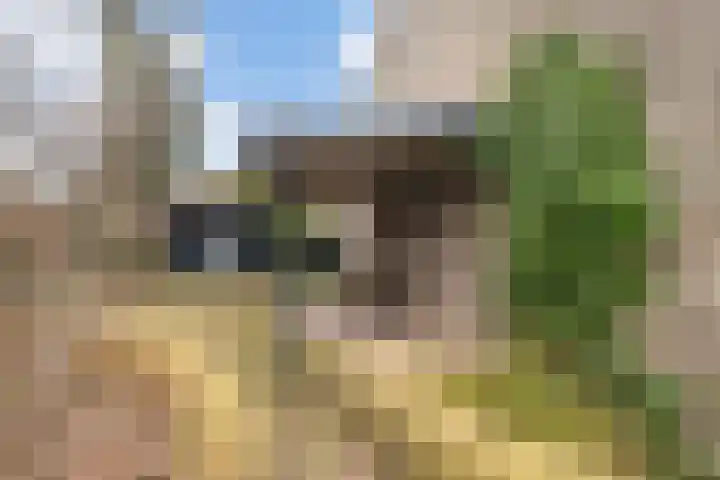 Pruimenbongerd 8 Huissen thumbnail 10