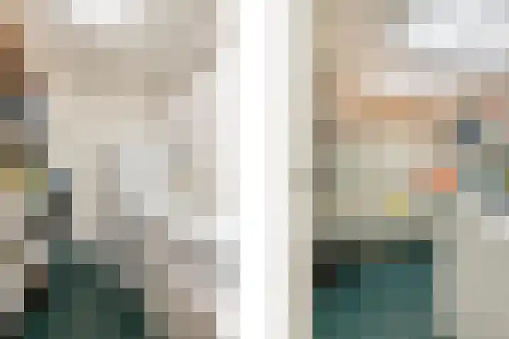 Pruimenbongerd 8 Huissen thumbnail 15