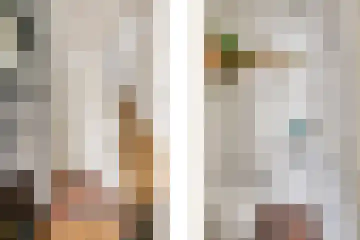 Pruimenbongerd 8 Huissen thumbnail 16