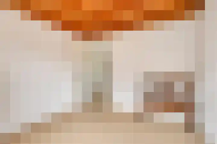 Pruimenbongerd 8 Huissen thumbnail 21