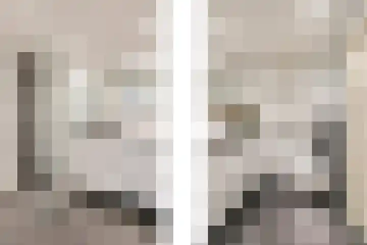 Pruimenbongerd 8 Huissen thumbnail 27