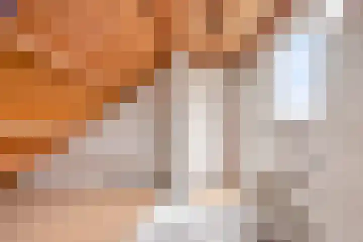 Pruimenbongerd 8 Huissen thumbnail 28