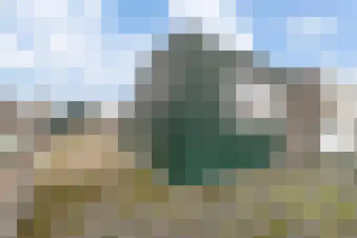 Pruimenbongerd 8 Huissen thumbnail 30