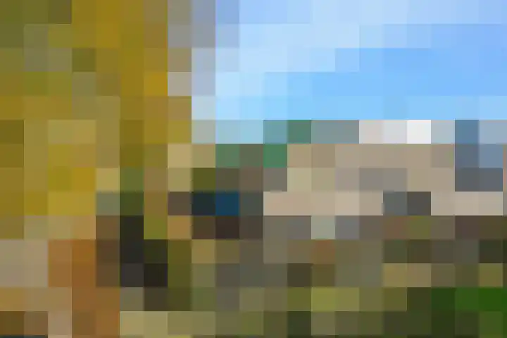 Pruimenbongerd 8 Huissen thumbnail 31