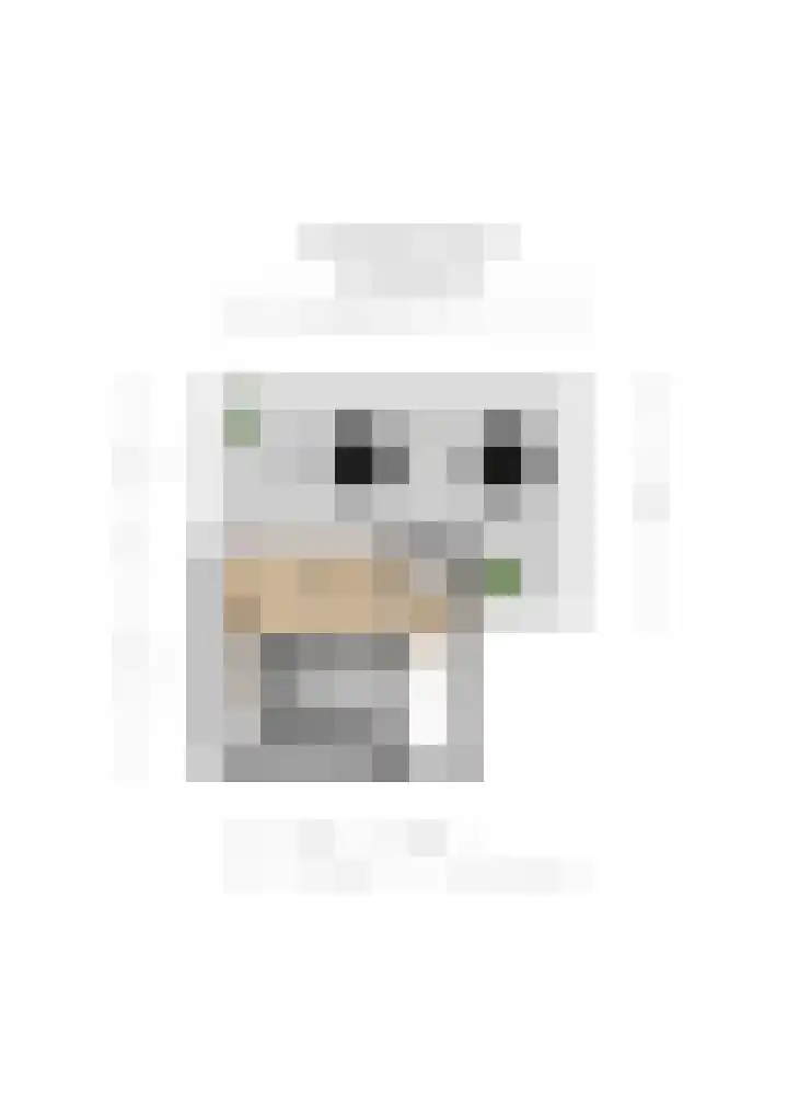 Pruimenbongerd 8 Huissen thumbnail 34