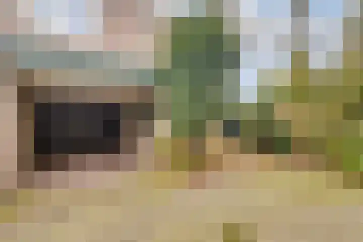 Pruimenbongerd 8 Huissen thumbnail 4