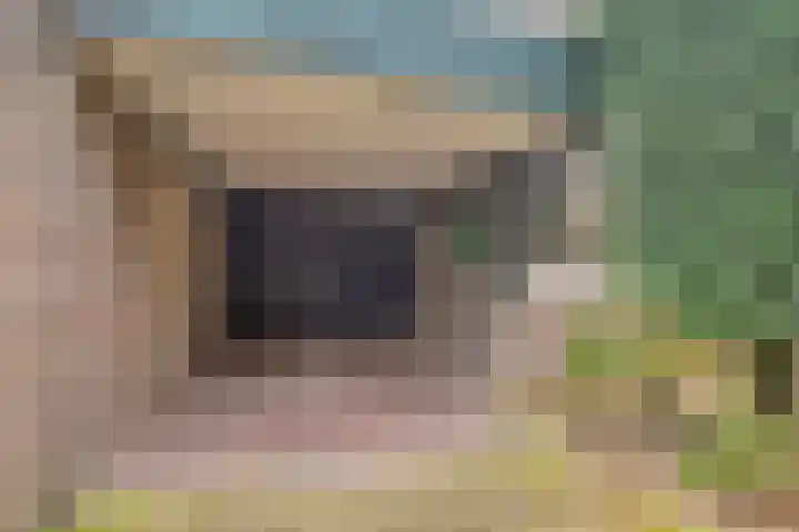 Pruimenbongerd 8 Huissen thumbnail 5