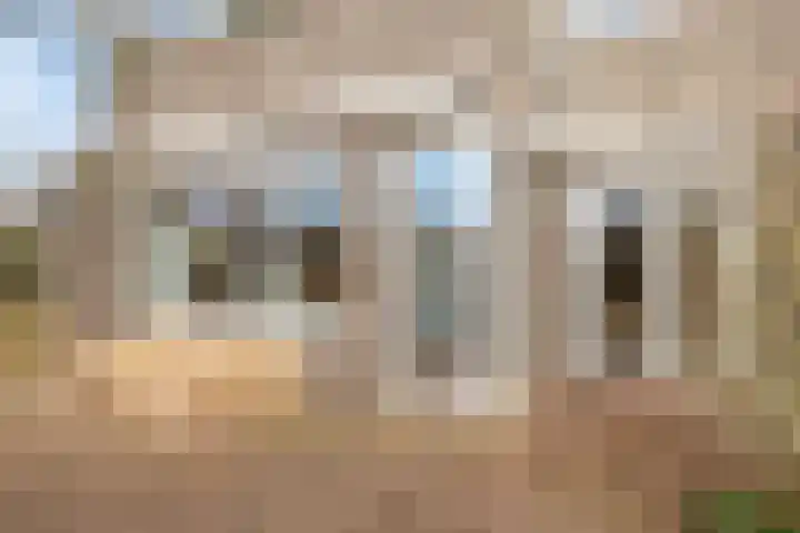 Pruimenbongerd 8 Huissen thumbnail 8
