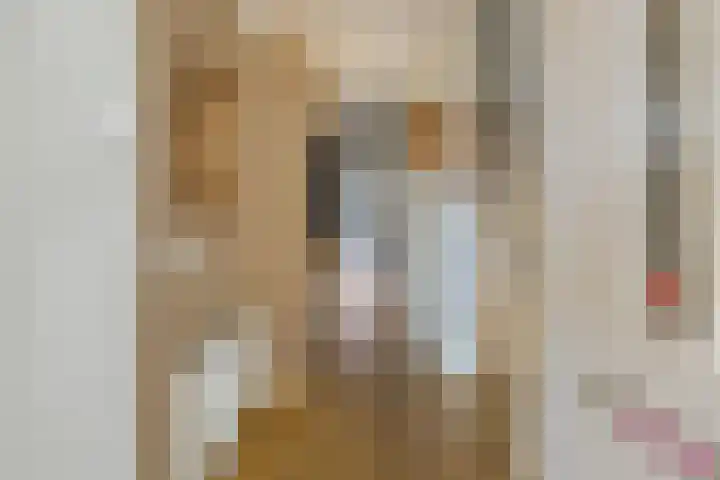 Pruimenboomplein 11 IJmuiden thumbnail 5