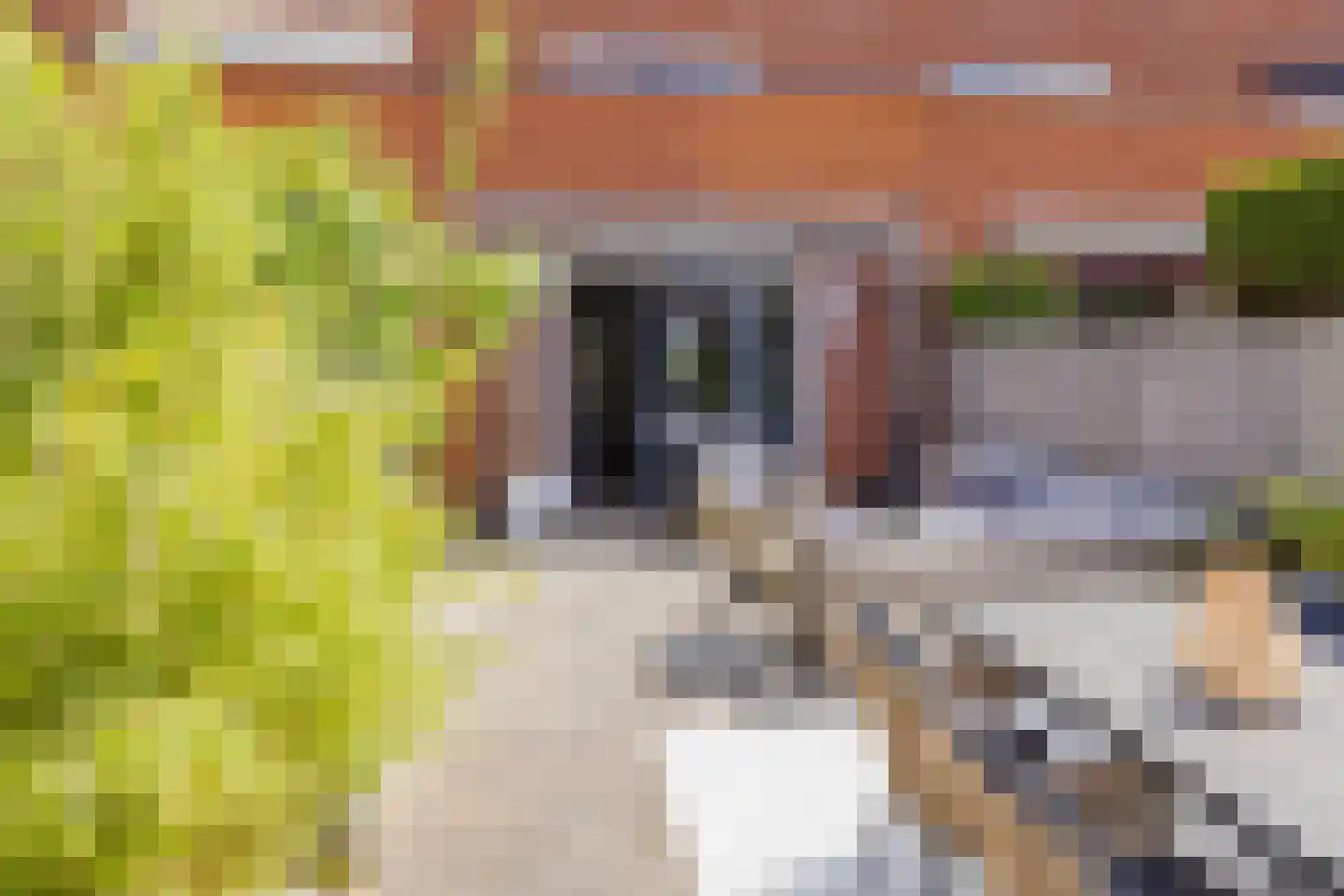 Pruimenboomplein 3 IJmuiden thumbnail 30