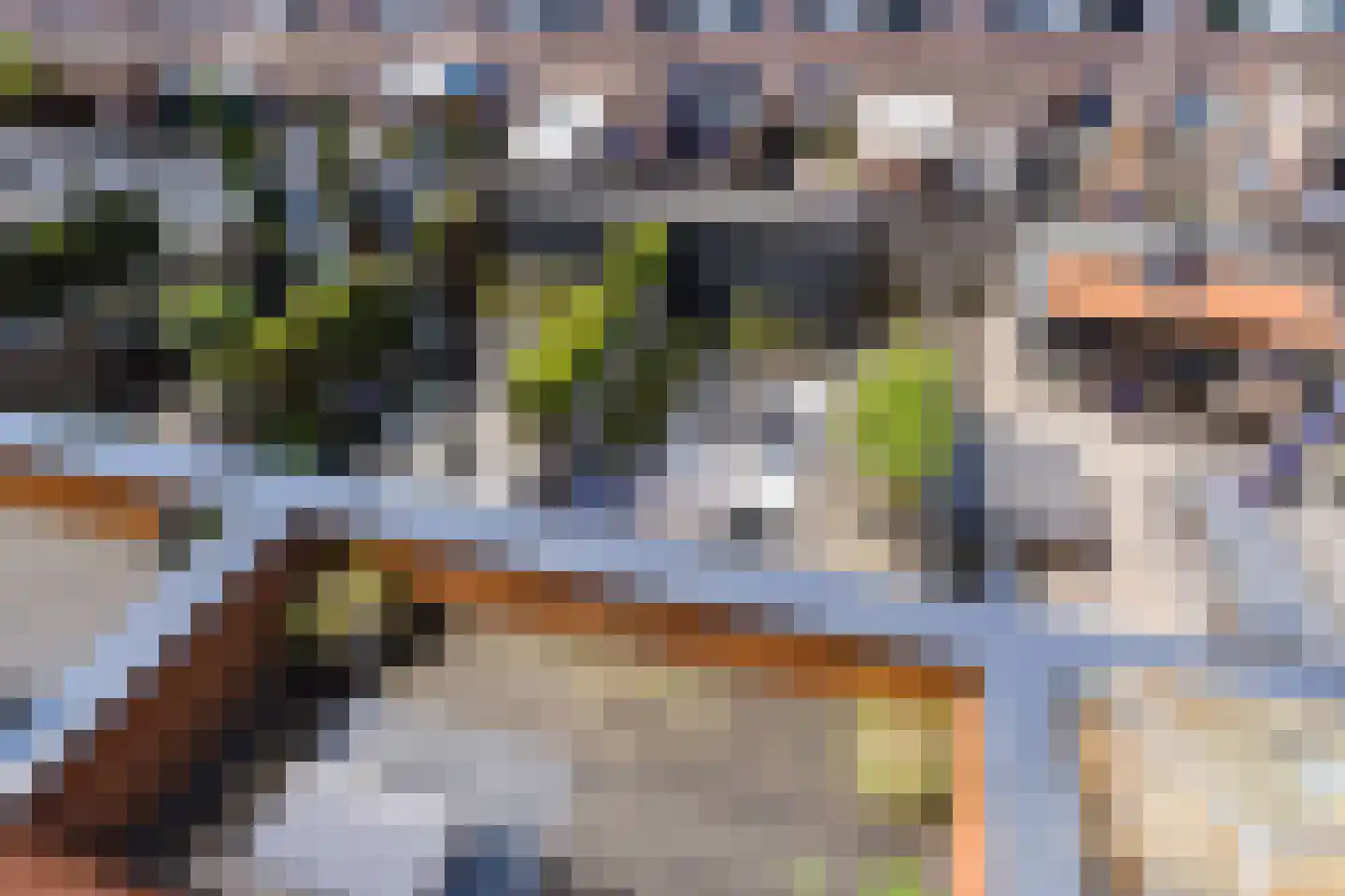 Pruimenboomplein 3 IJmuiden thumbnail 62