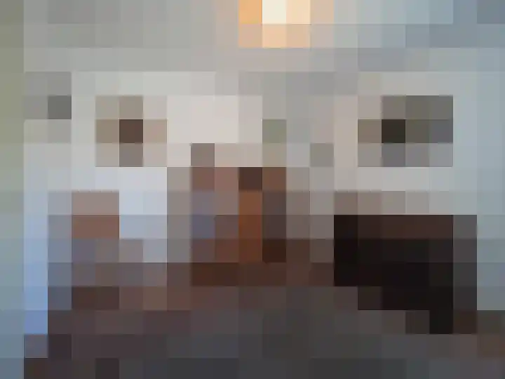 Pruimendijk 103 c Ridderkerk thumbnail 32