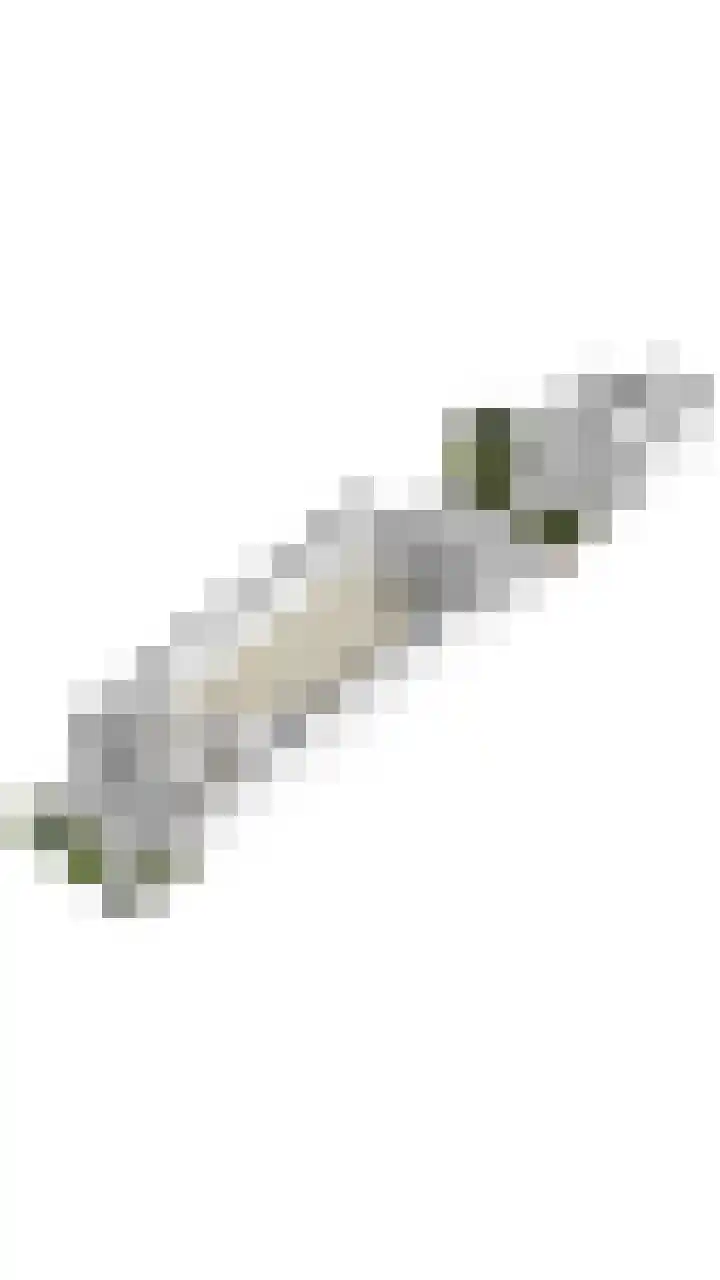 Pruimendijk 103 c Ridderkerk thumbnail 60