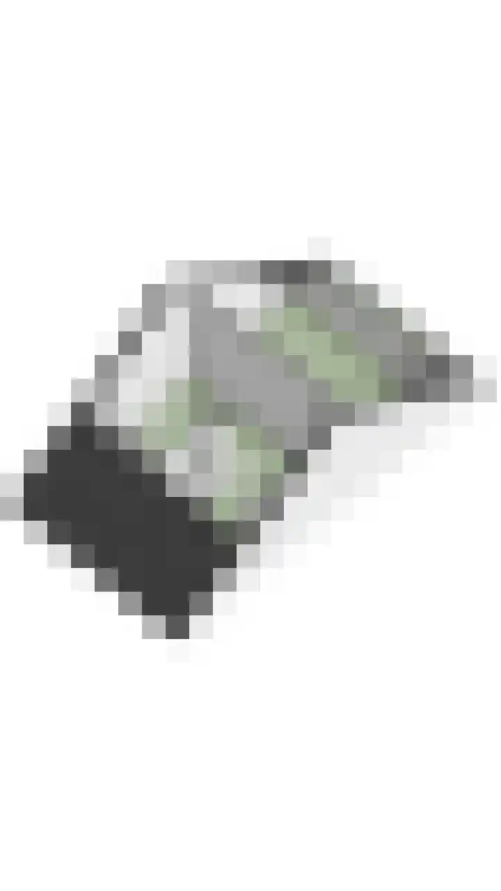 Pruimendijk 103 c Ridderkerk thumbnail 66