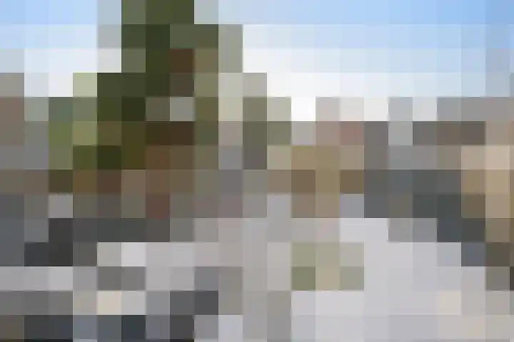 Pruimendijk 109 Ridderkerk thumbnail 32