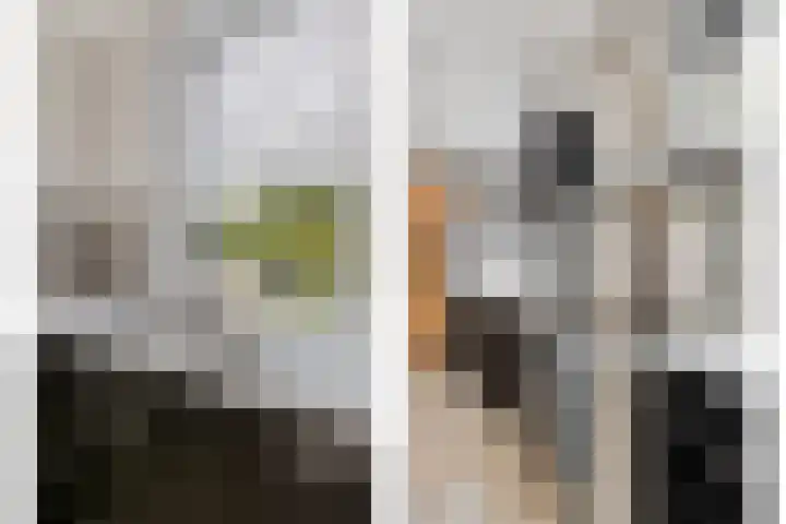 Pruimendijk 111 Ridderkerk thumbnail 12