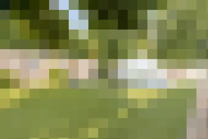 Pruimendijk 111 Ridderkerk thumbnail 30