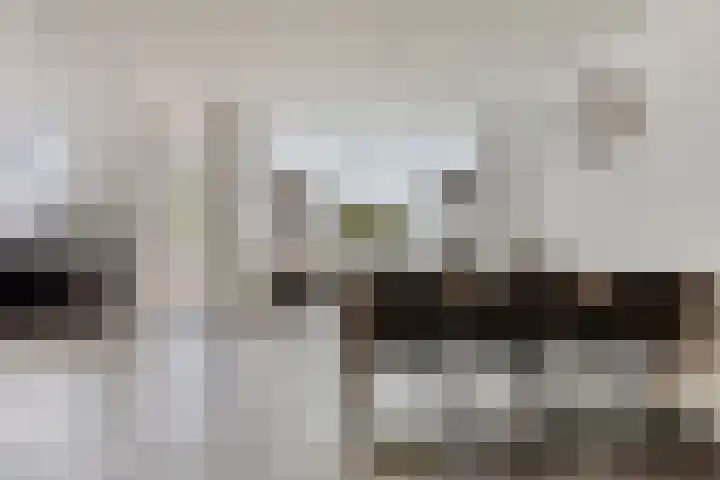 Pruimendijk 111 Ridderkerk thumbnail 8