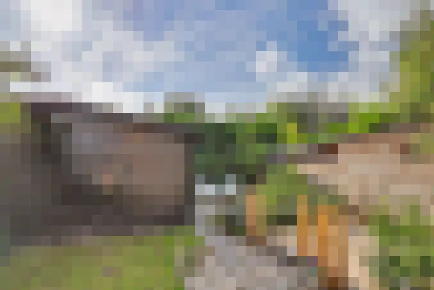 Pruimendijk 136 Ridderkerk thumbnail 33
