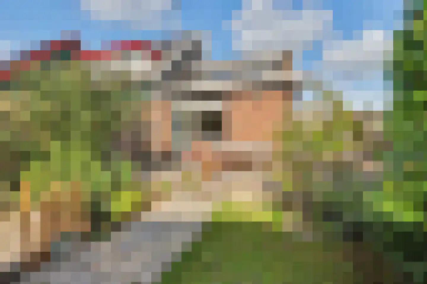 Pruimendijk 136 Ridderkerk thumbnail 34