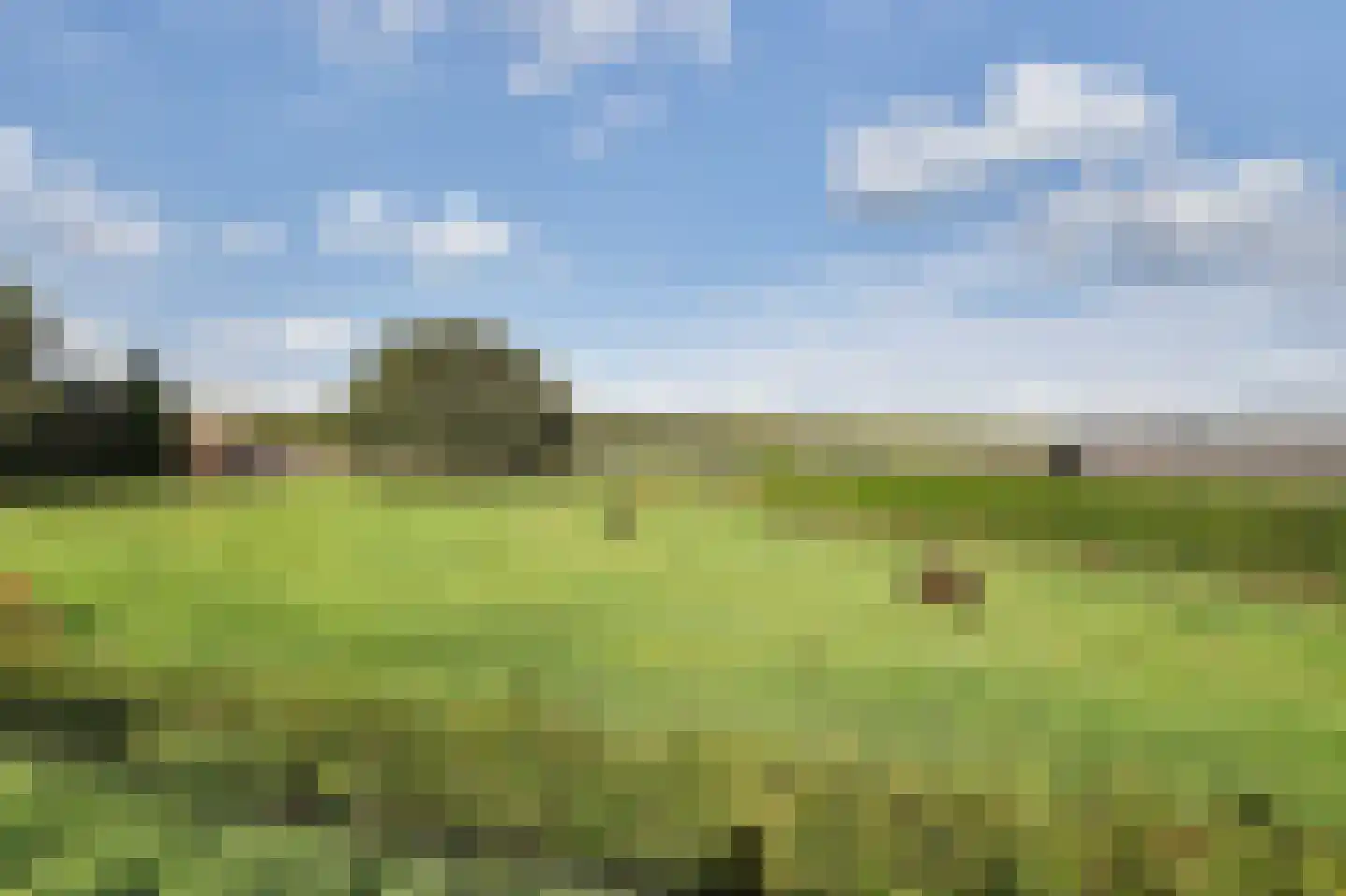 Pruimendijk 136 Ridderkerk thumbnail 36