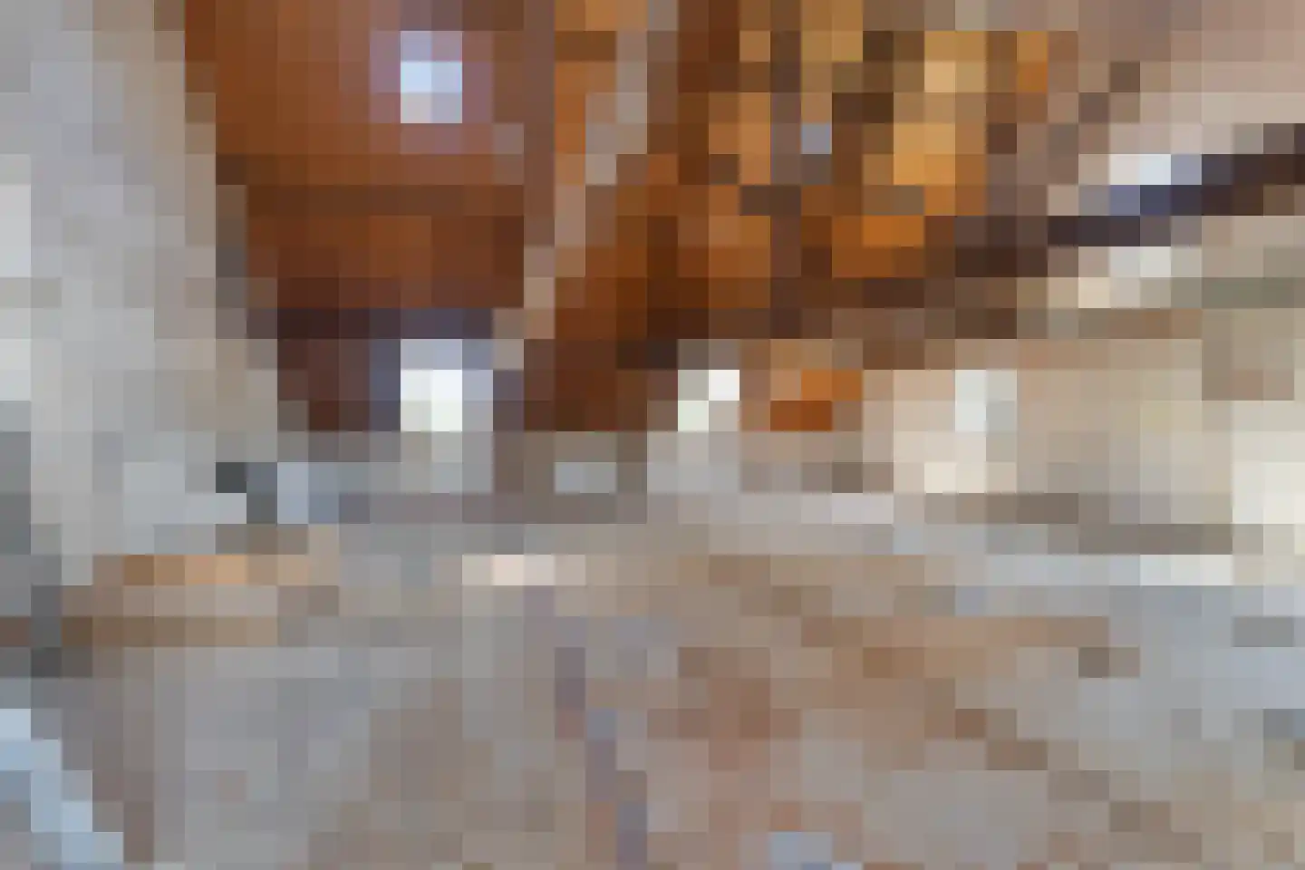 Pruimendijk 172 Ridderkerk thumbnail 45