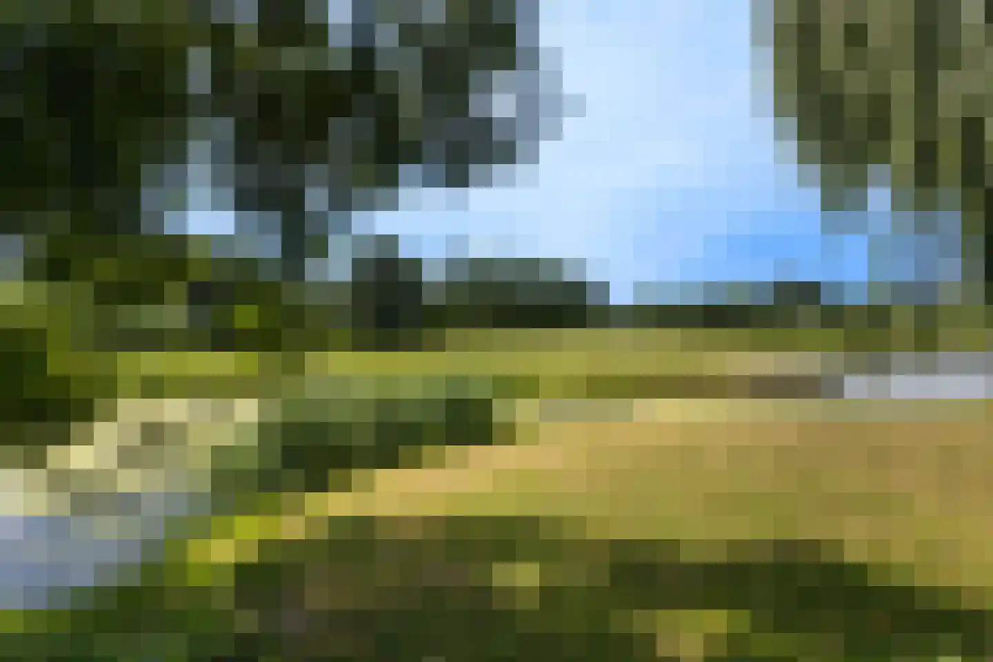 Pruimendijk 172 Ridderkerk thumbnail 64