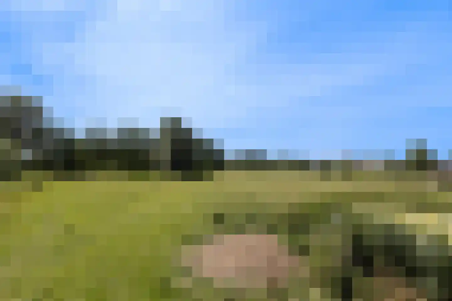 Pruimendijk 172 Ridderkerk thumbnail 65
