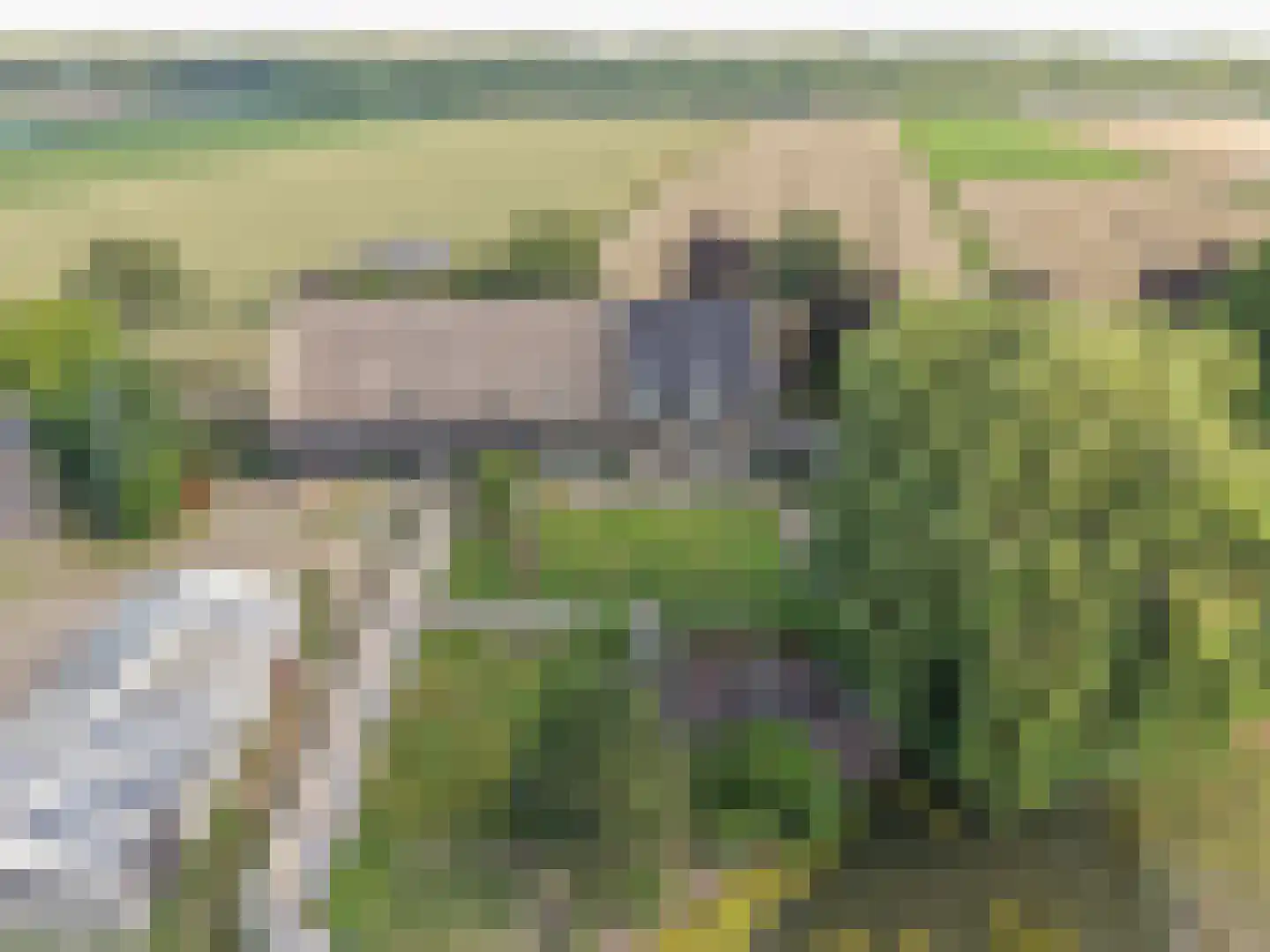 Pruimendijk 172 Ridderkerk thumbnail 70