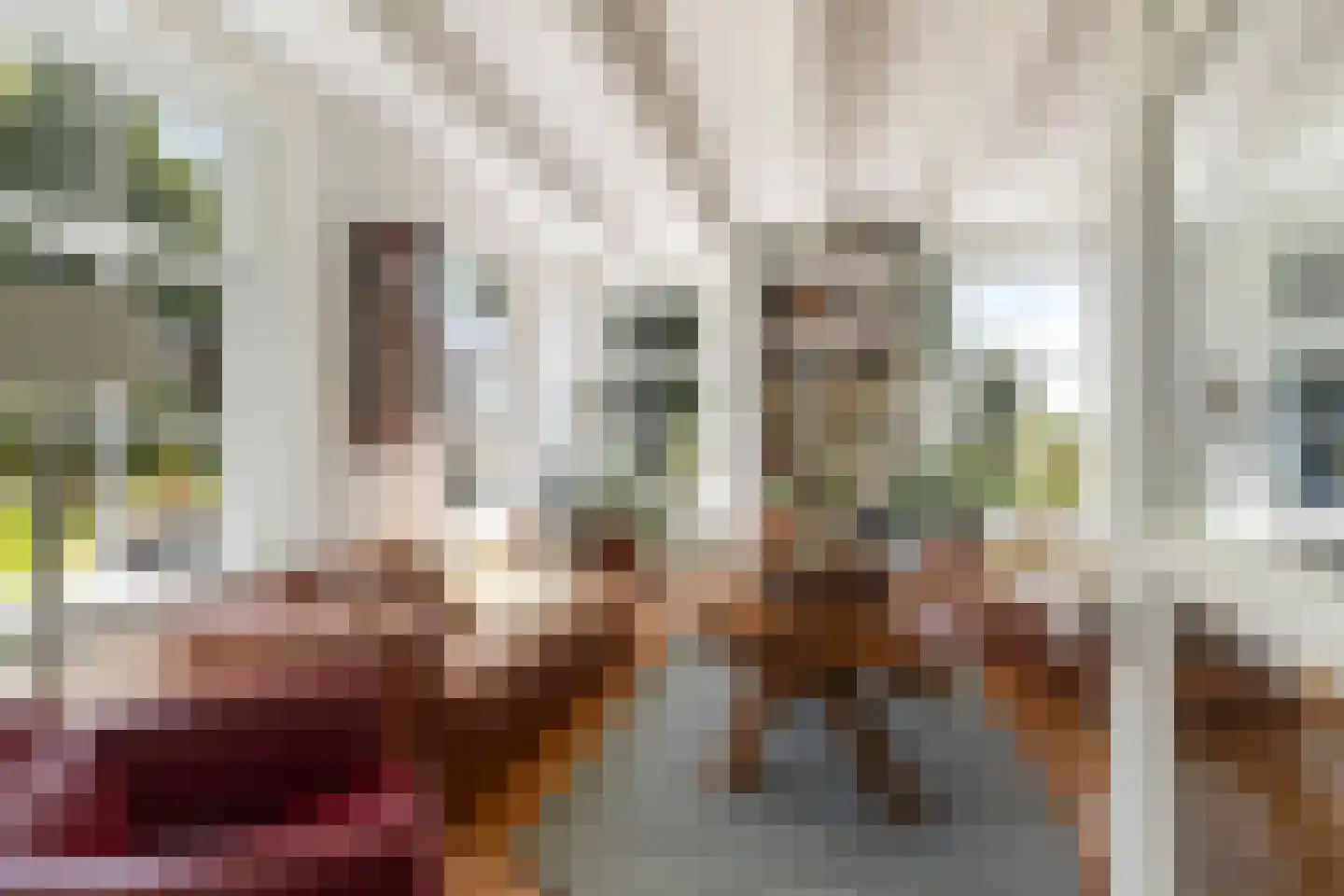 Pruimendijk 172 Ridderkerk thumbnail 8