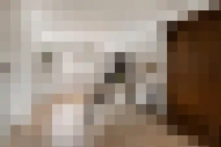 Pruimendijk 2 c Ridderkerk thumbnail 11