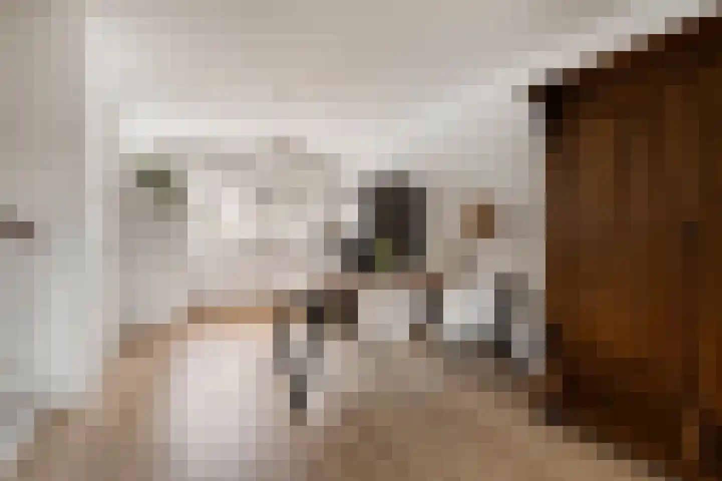 Pruimendijk 2 c Ridderkerk thumbnail 11