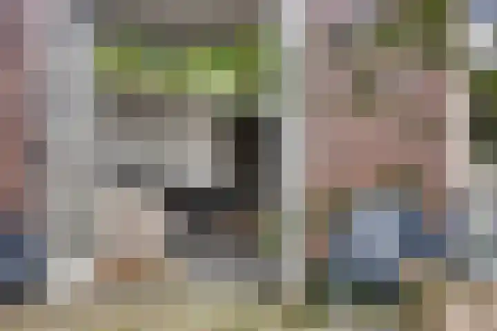 Pruimendijk 2 c Ridderkerk thumbnail 19