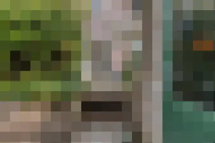 Pruimendijk 2 c Ridderkerk thumbnail 20