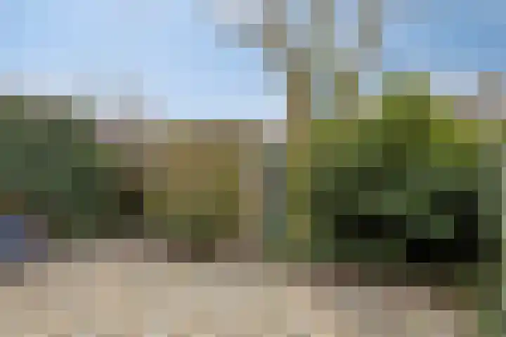 Pruimendijk 2 c Ridderkerk thumbnail 21