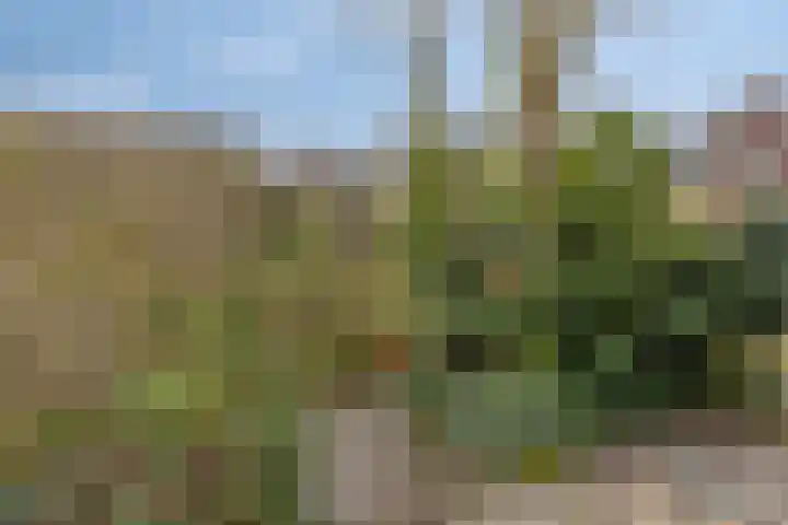 Pruimendijk 2 c Ridderkerk thumbnail 22