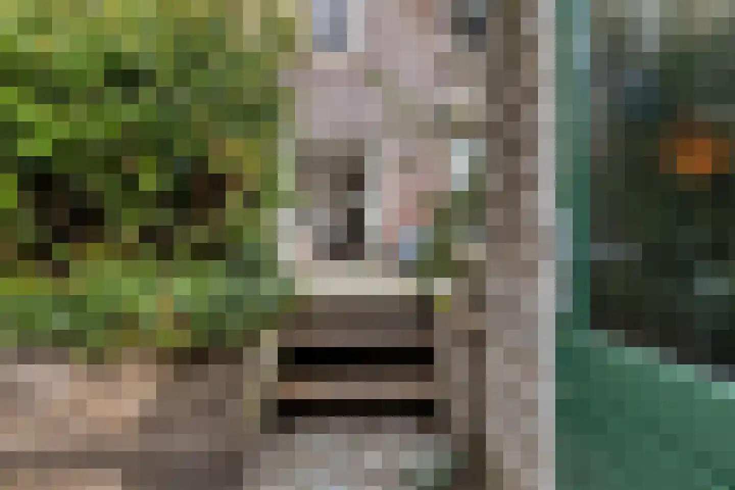 Pruimendijk 2 c Ridderkerk thumbnail 28
