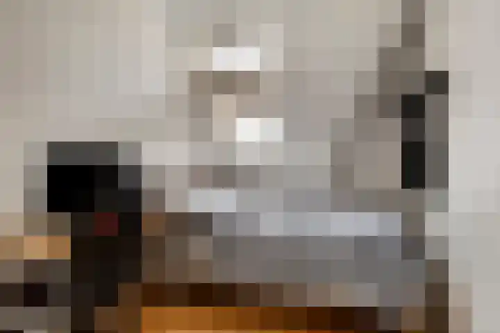 Pruimendijk 2 c Ridderkerk thumbnail 28