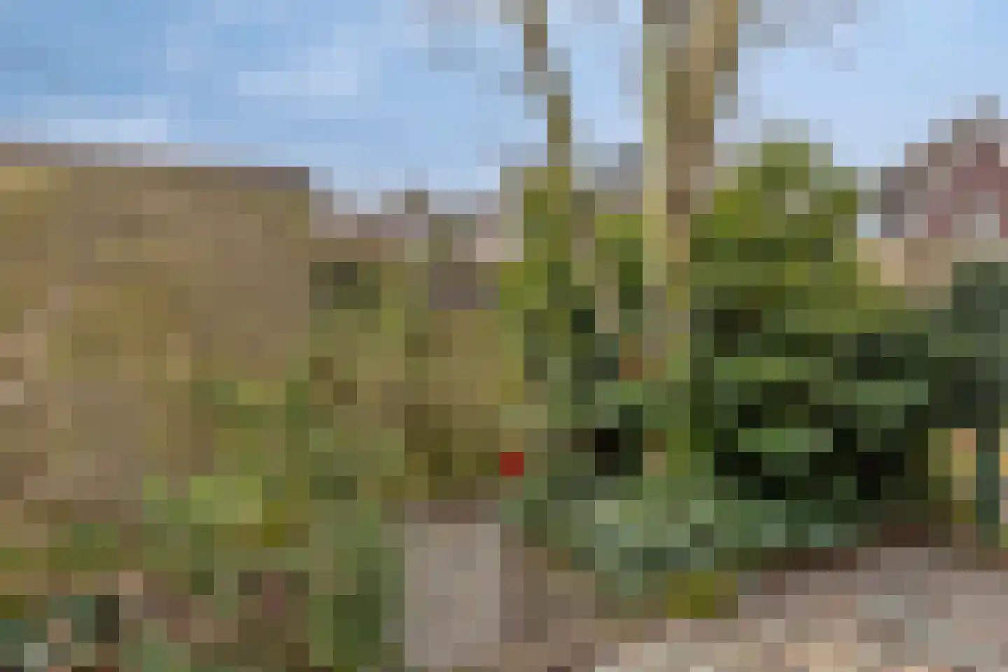 Pruimendijk 2 c Ridderkerk thumbnail 29
